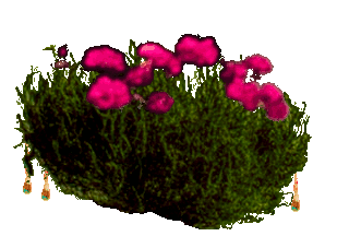 1585288208 1468 FT0 Plant